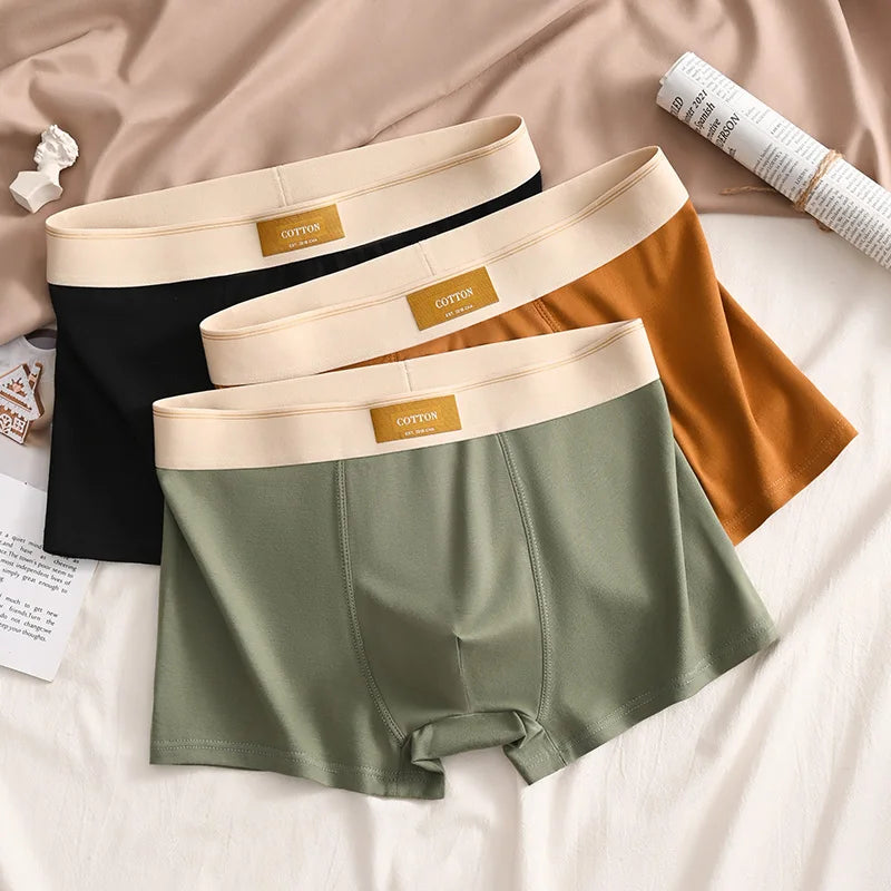 Luxury Men Underpants Man Cotton Breathable Comfortable Boxer Selling Shorts Men's Panties Plus Size Panties Underwear Gift