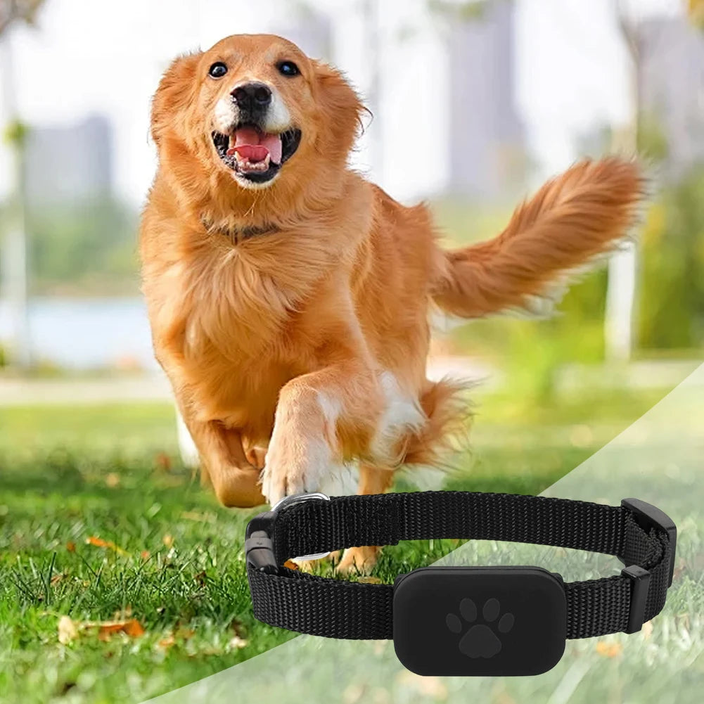 Waterproof Pet GPS Tracker - Dog & Cat Locator, with Adjustable Collar Anti Lost Dogs Real-time Tracking Device for iOS/Android