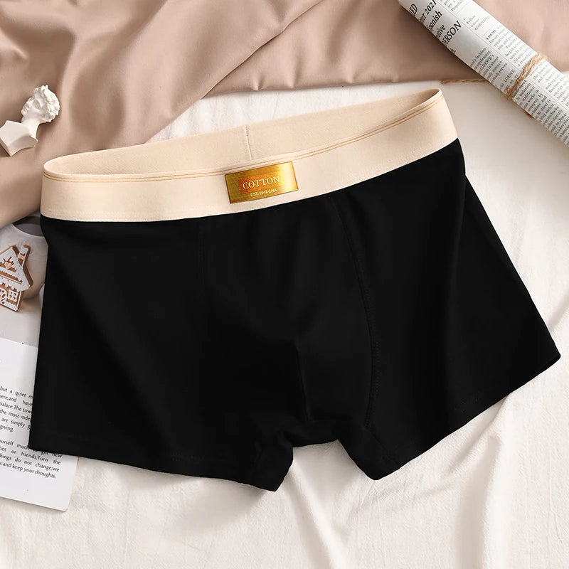 Luxury Men Underpants Man Cotton Breathable Comfortable Boxer Selling Shorts Men's Panties Plus Size Panties Underwear Gift