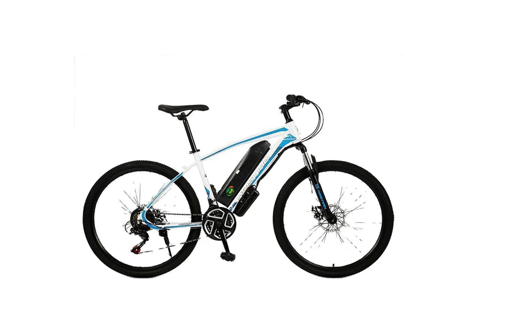 750W Electric Folding City Bike 48V 48V Lithium Battery Steel Frame Electric Mountain Bike With Fat Tire