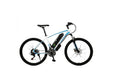 750W Electric Folding City Bike 48V 48V Lithium Battery Steel Frame Electric Mountain Bike With Fat Tire