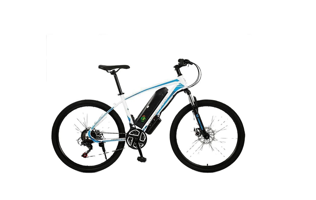 750W Electric Folding City Bike 48V 48V Lithium Battery Steel Frame Electric Mountain Bike With Fat Tire
