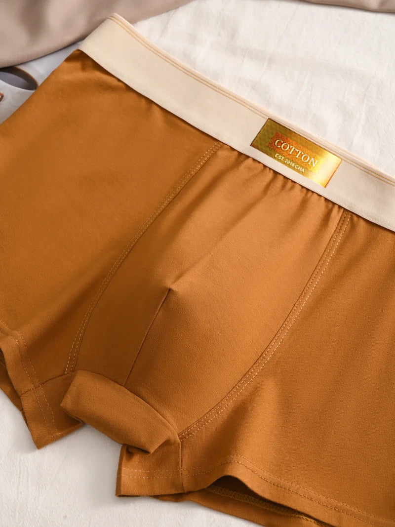Luxury Men Underpants Man Cotton Breathable Comfortable Boxer Selling Shorts Men's Panties Plus Size Panties Underwear Gift