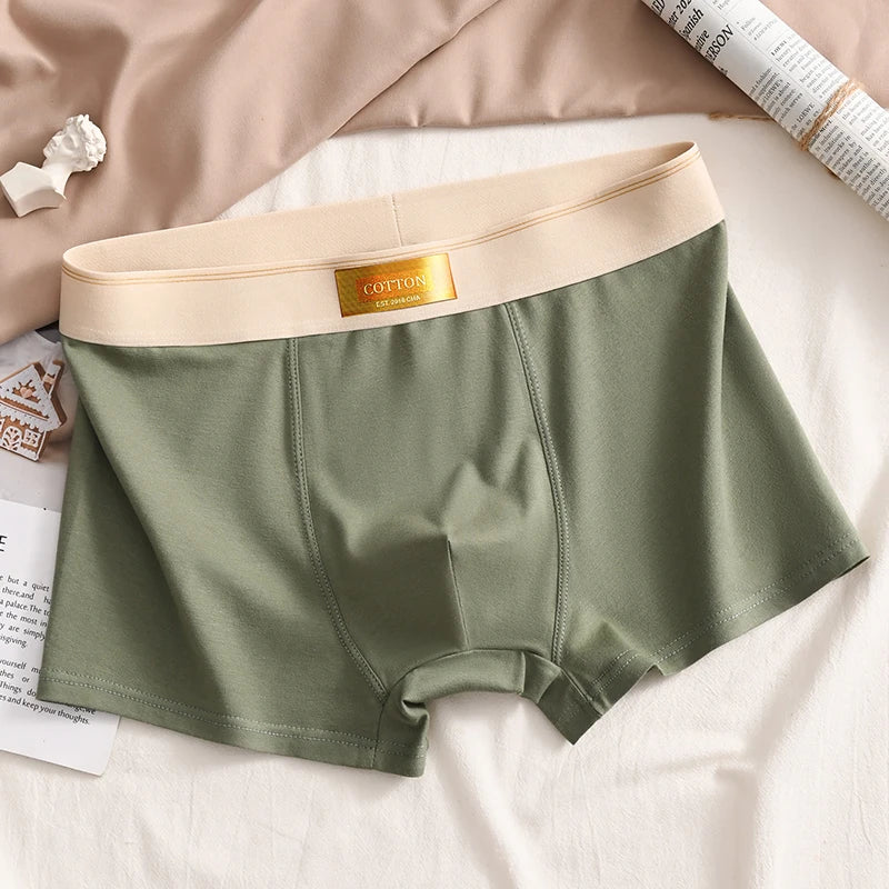 Luxury Men Underpants Man Cotton Breathable Comfortable Boxer Selling Shorts Men's Panties Plus Size Panties Underwear Gift