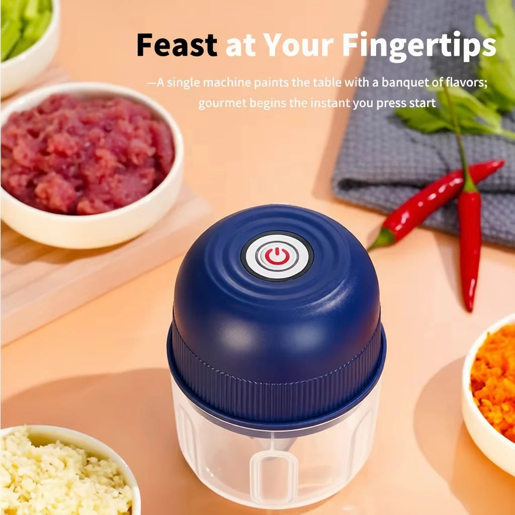 Electric Garlic Masher, Meat Grinder, 260ML Rechargeable Onion, Vegetable, Chili Grinder, Kitchen Blender