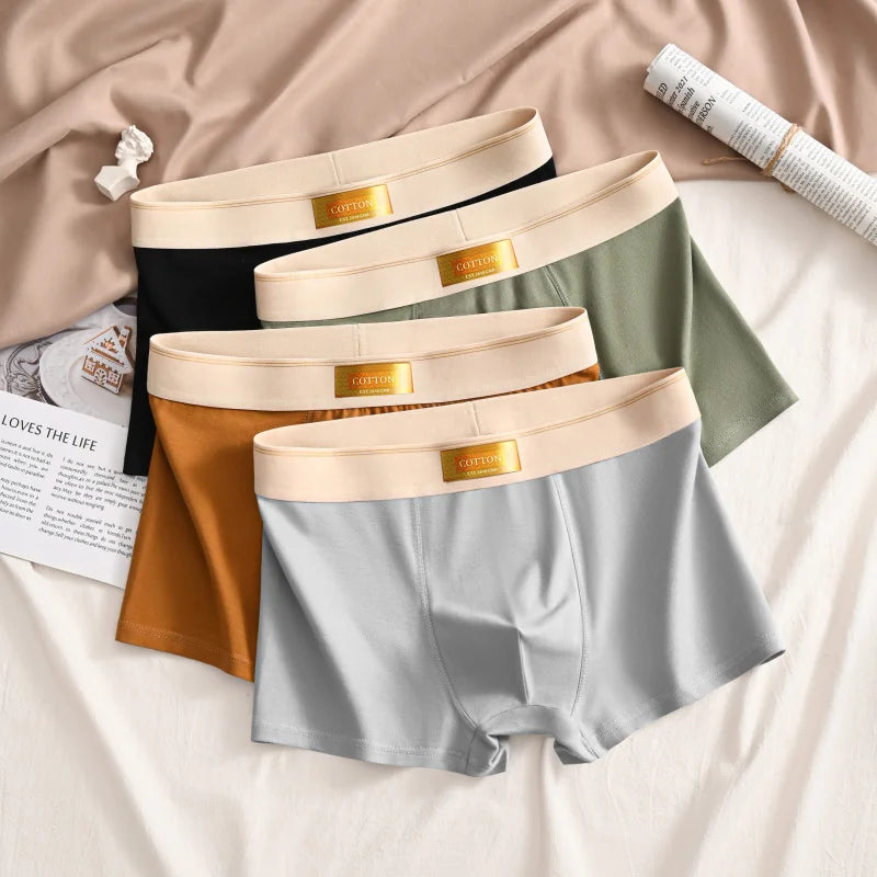 Luxury Men Underpants Man Cotton Breathable Comfortable Boxer Selling Shorts Men's Panties Plus Size Panties Underwear Gift