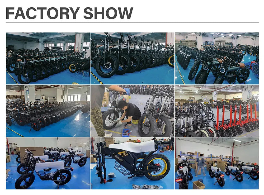 Coswheel Y16 Electric Bike for Adults 1000W Moped Style Ebike 48V 15Ah Removable Battery 28MPH Electric Motorcycle FatTire ebike