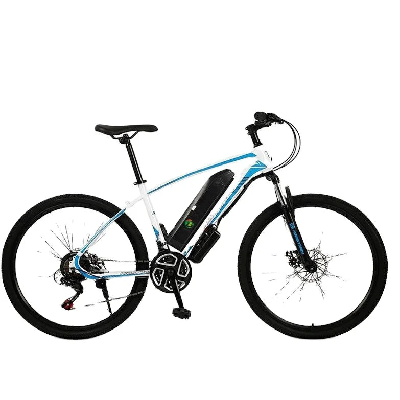 750W Electric Folding City Bike 48V 48V Lithium Battery Steel Frame Electric Mountain Bike With Fat Tire