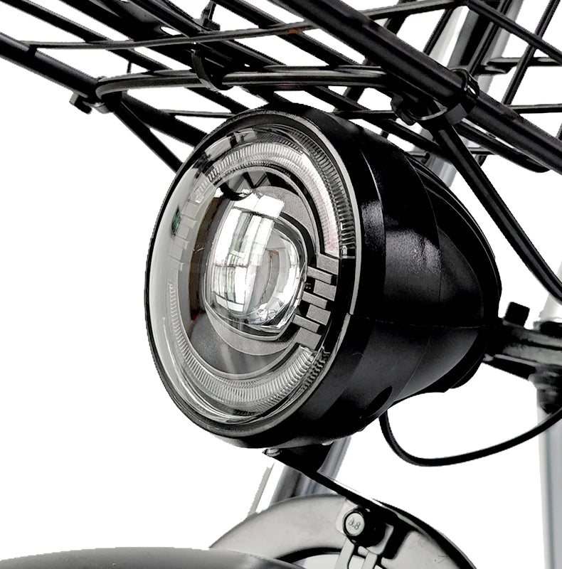 Electric Bike 16” Delivery Electric Bicycle Manufacture 800W 60V Lithium Battery Black E-bike