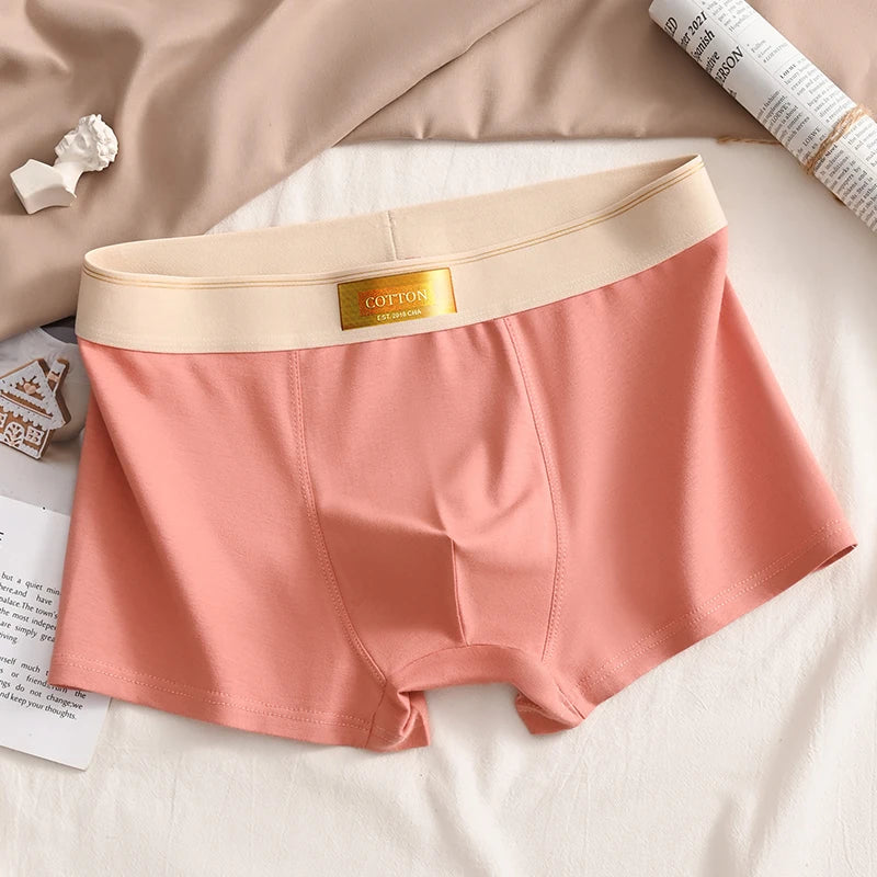 Luxury Men Underpants Man Cotton Breathable Comfortable Boxer Selling Shorts Men's Panties Plus Size Panties Underwear Gift