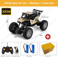 ZWN 1:20 2WD RC Car With Led Lights Radio Remote Control Cars Buggy Off-Road Control Trucks Boys Toys for Children