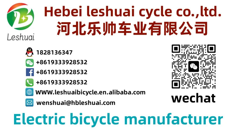 750W Electric Folding City Bike 48V 48V Lithium Battery Steel Frame Electric Mountain Bike With Fat Tire