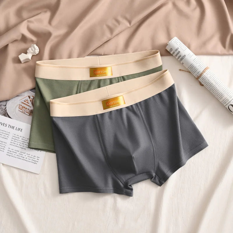 Luxury Men Underpants Man Cotton Breathable Comfortable Boxer Selling Shorts Men's Panties Plus Size Panties Underwear Gift