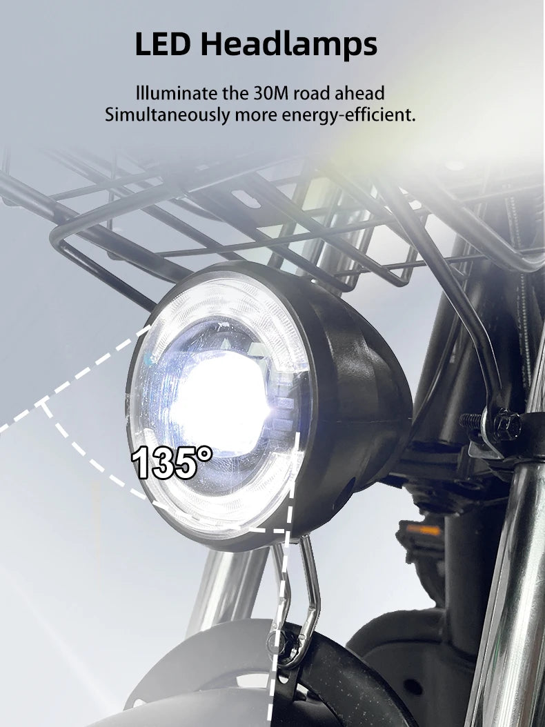 Electric Bike 16” Delivery Electric Bicycle Manufacture 800W 60V Lithium Battery Black E-bike