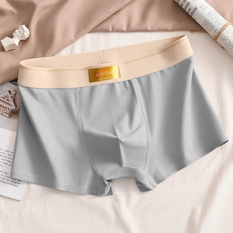 Luxury Men Underpants Man Cotton Breathable Comfortable Boxer Selling Shorts Men's Panties Plus Size Panties Underwear Gift