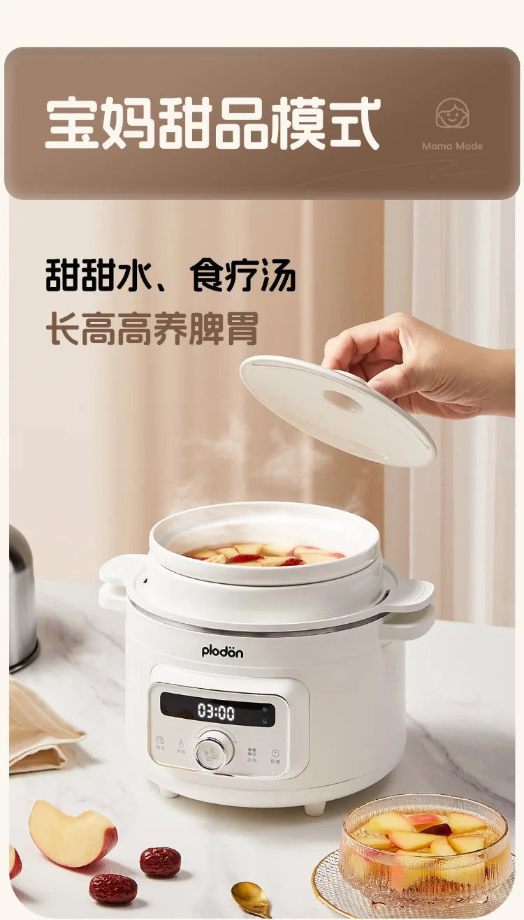 Multifunctional Stainless Steel Electric Pot Steam Stew Cooker Baby Food Cooking Pot