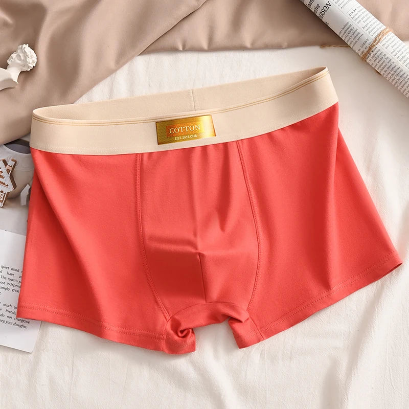 Luxury Men Underpants Man Cotton Breathable Comfortable Boxer Selling Shorts Men's Panties Plus Size Panties Underwear Gift