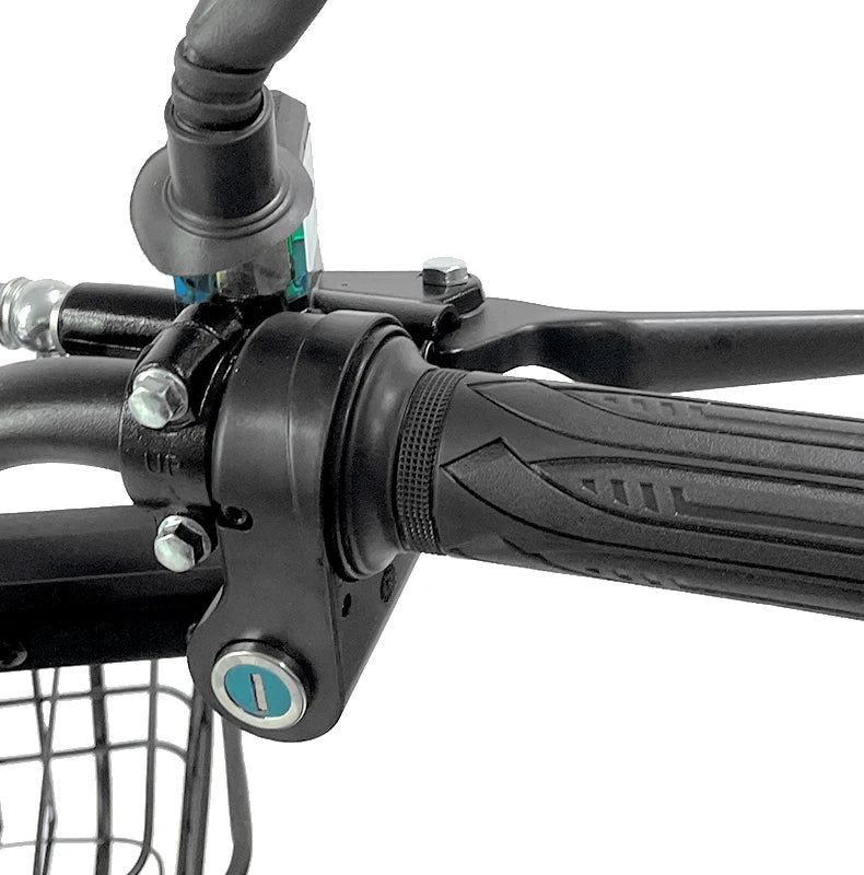 Electric Bike 16” Delivery Electric Bicycle Manufacture 800W 60V Lithium Battery Black E-bike