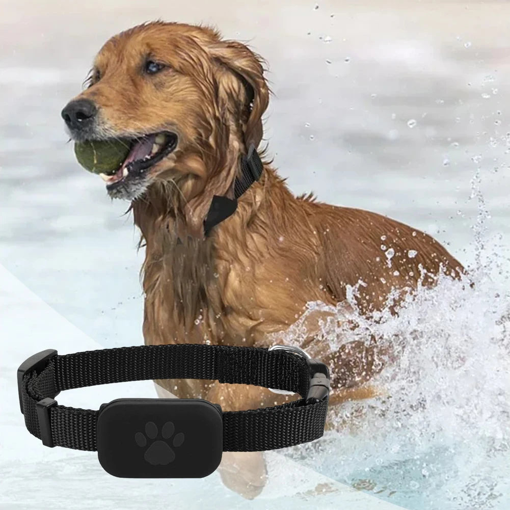 Waterproof Pet GPS Tracker - Dog & Cat Locator, with Adjustable Collar Anti Lost Dogs Real-time Tracking Device for iOS/Android