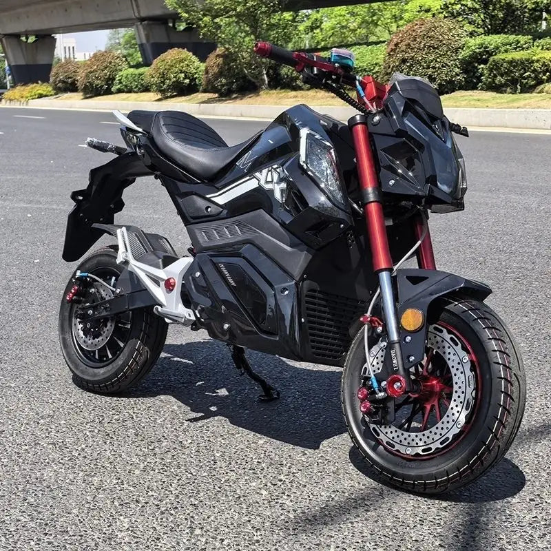 72V Lead-Acid Electric Motorcycle | High Performance Adult Electric Motorcycle & All-Terrain Dirt Bike